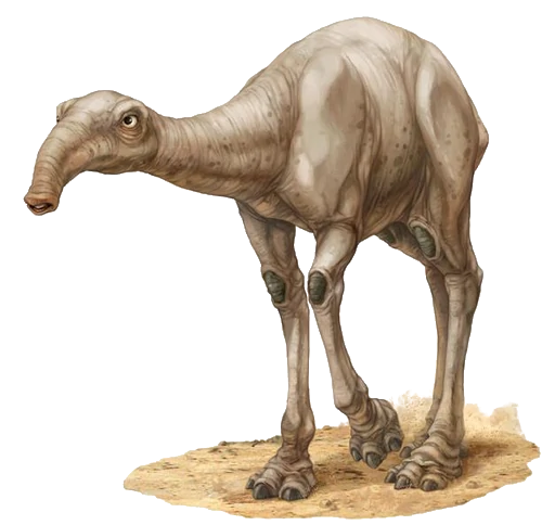 Fathier