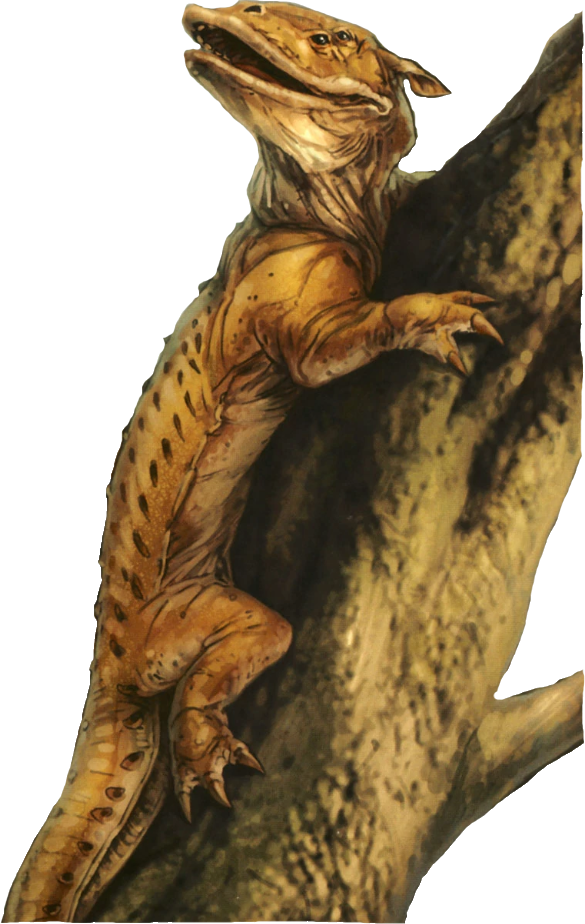 Ysalamir