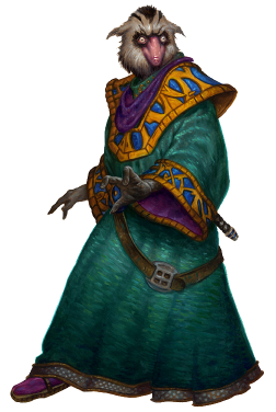 Caamasi