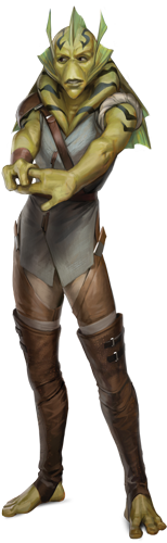 Kalleran