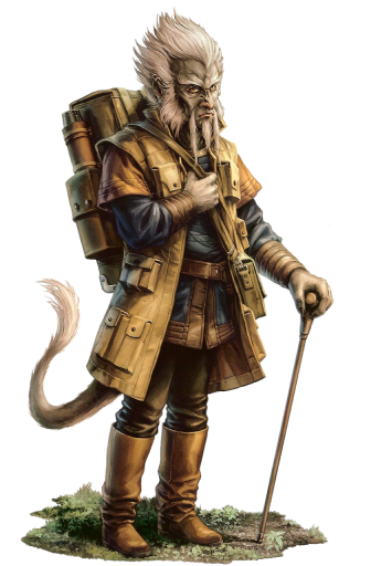 Ryn
