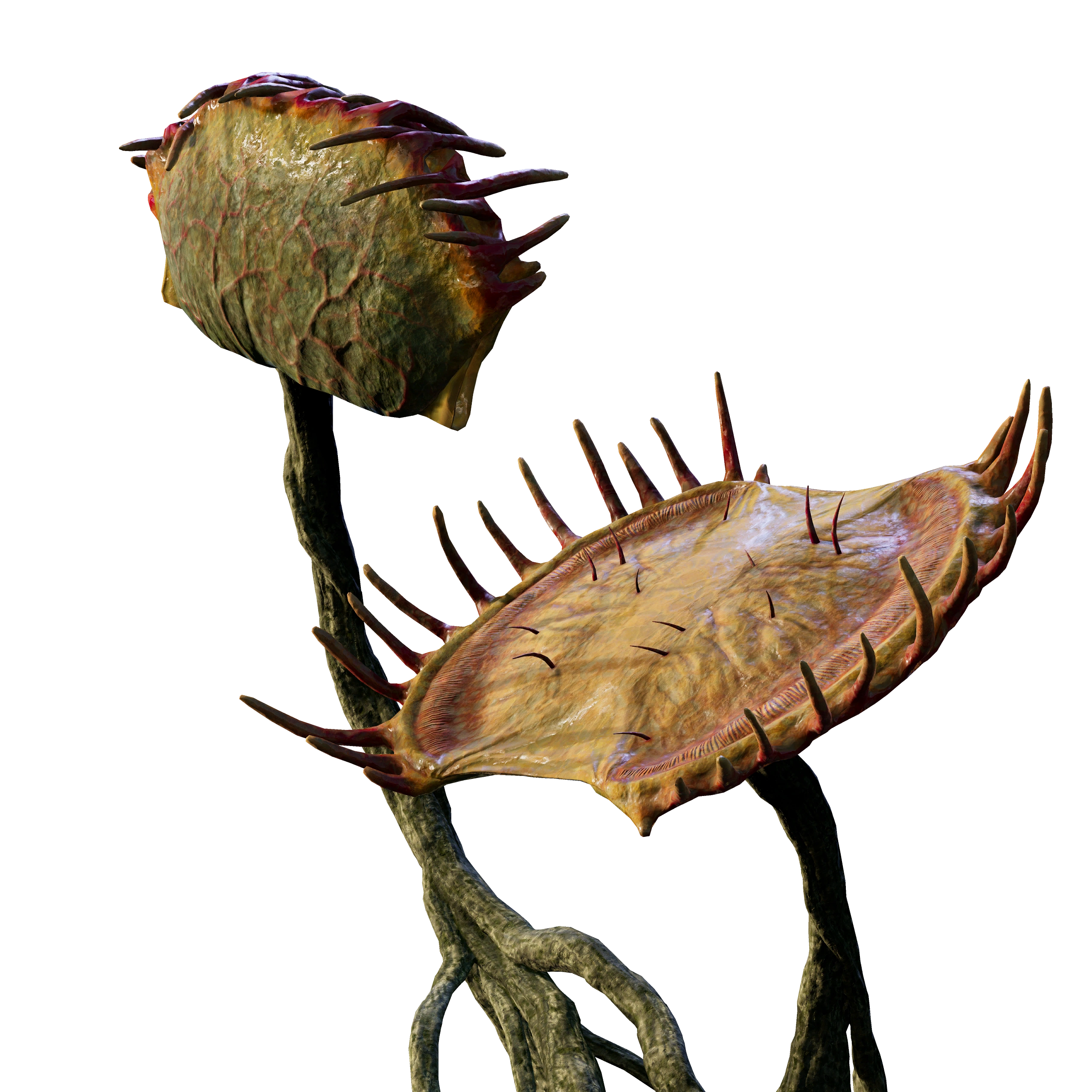 Carnivorous Plant
