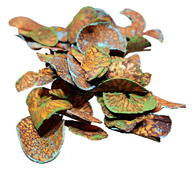 Poison
