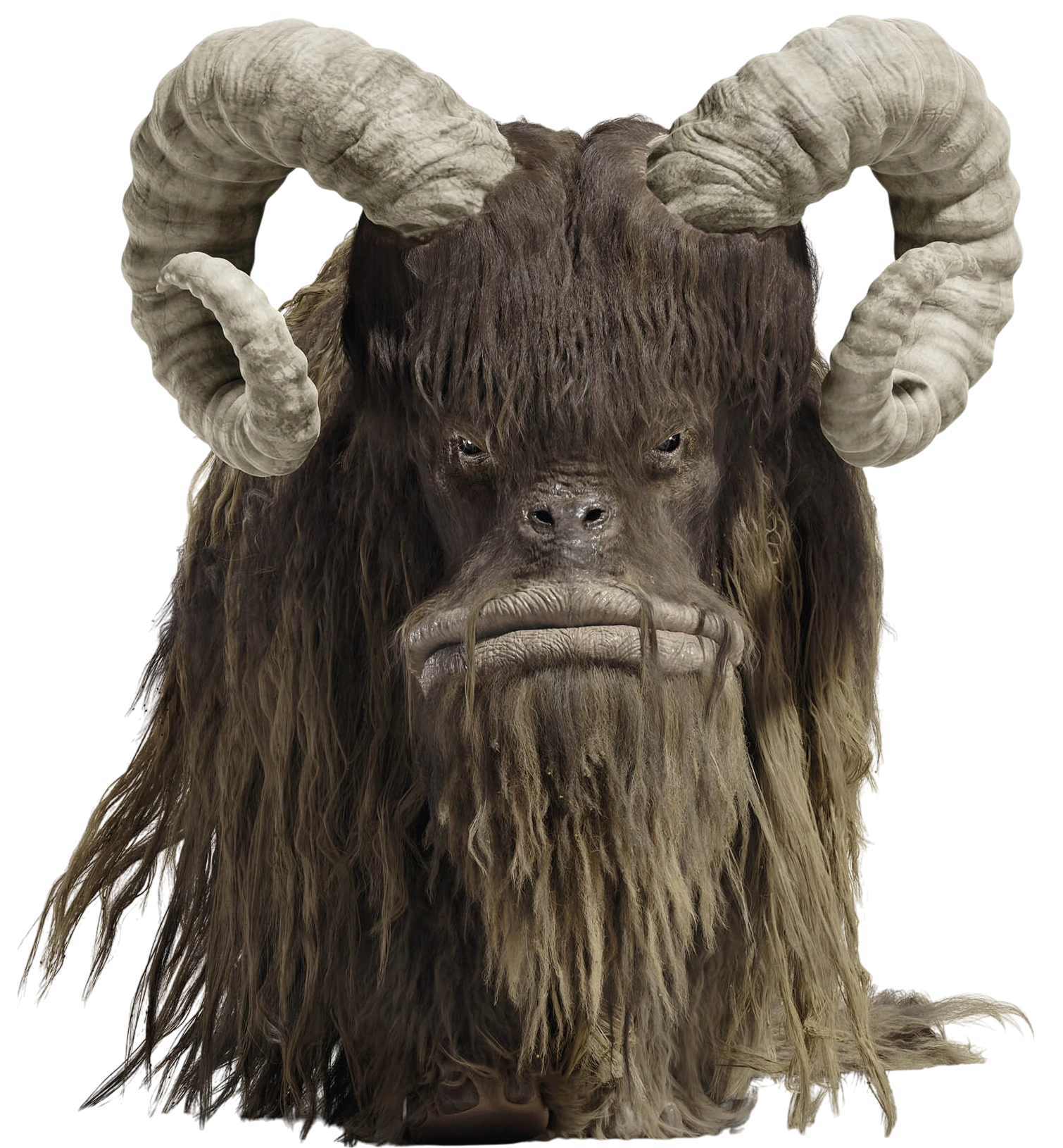Bantha, Adult