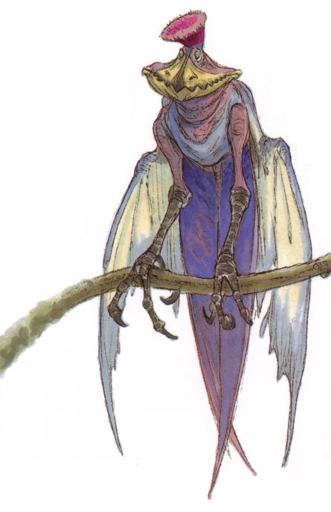 Jubba Bird