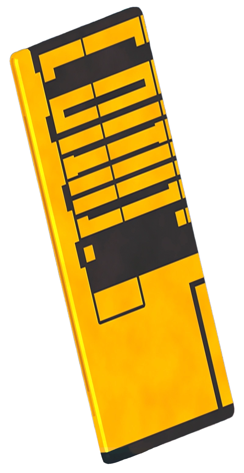Credit chip