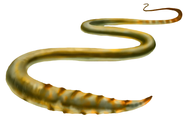 Brain Worm