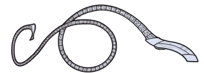 Neuronic whip