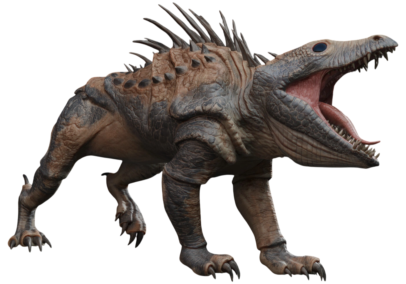 Massiff