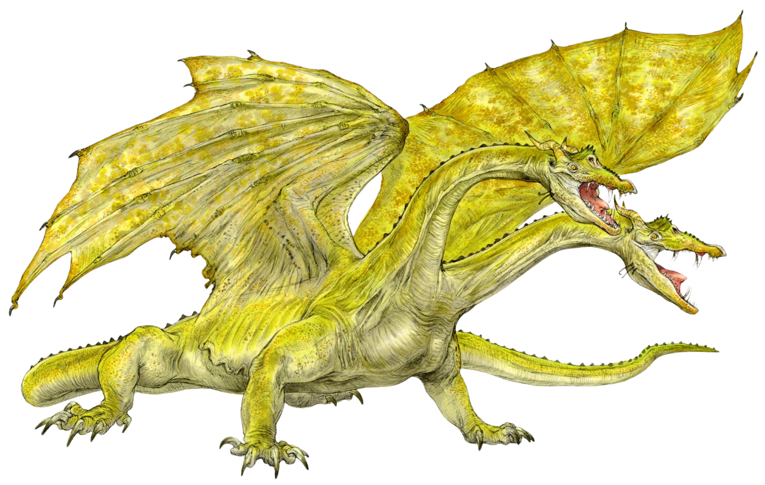 Battle Hydra